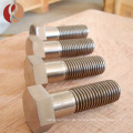 pure Gr1 Gr2 hex titan fasteners im Bolzen